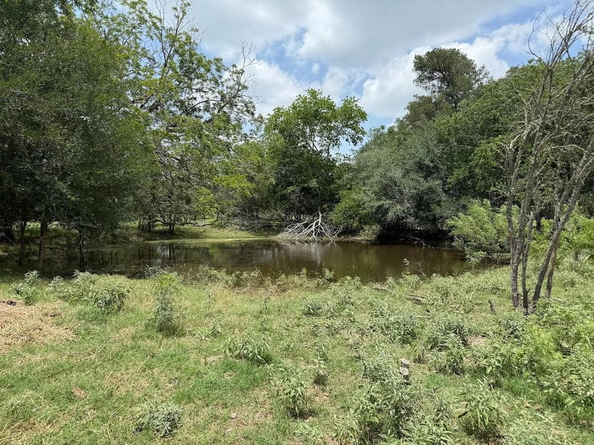 Texas Hill Country landscape
